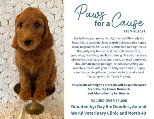 Paws for a Cause