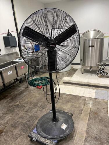 Upright Fan