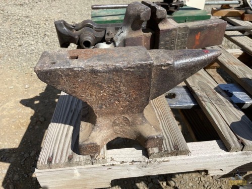 13.5" Anvil