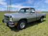 1992 Dodge D250 Pickup - 2