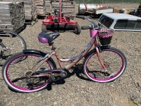 Susan Komen 7-Speed 26" Girls Bike