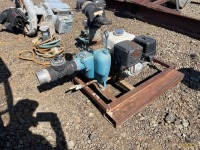 3" Transfer Pump