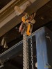 Chain Hoist