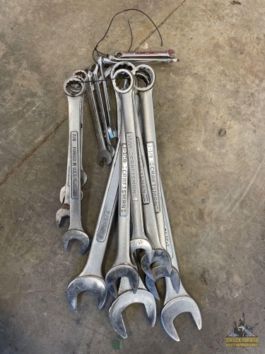 Assorted Combo Wrenches