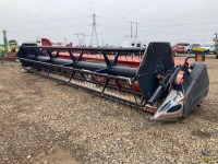 Case IH 2010 22' Header