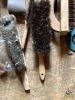 Sander Belt & Brushes - 2