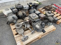 Assorted Gas Engine w/Pumps