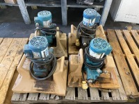 (4) Injection Pumps