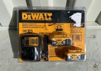 DeWalt 20v Max Starter kit