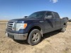 2010 Ford F-150 Pickup