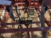 IH 150 Hillside 60' Grain Drills - 16