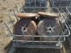 (10) Round Packer Wheels