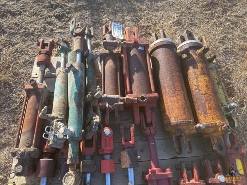 10-Assorted Hydraulic Cylinders