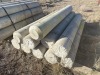 (10) 6'x9" Concrete Bollards - 2