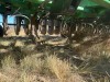 John Deere 9400 Grain Drill - Ephrata - 13