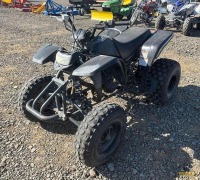 2006 Yamaha YSF200S ATV