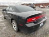 2013 Dodge Charger Police Interceptor - Wenatchee - 3