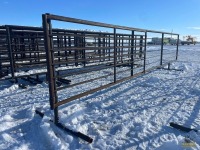 HD 24' Free Standing Cattle Panels w/ 11' Gate