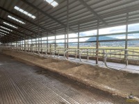 (25) 2018 Hatfield Single Stalls