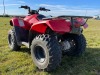 2017 Honda TRX250 Quad - 3