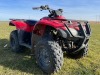 2017 Honda TRX250 Quad - 6