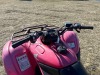 2007 Honda TRX420 4-Wheeler - 12