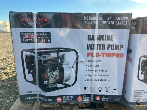 Paladin Gas Water Pump