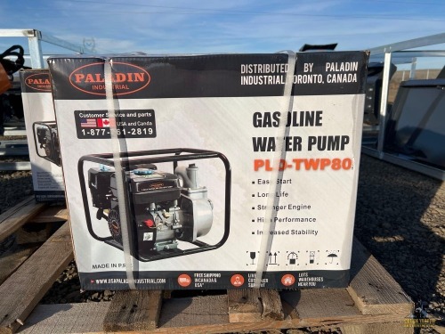 Paladin Gas Water Pump