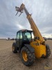 2006 JCB 536-60 Agri-Plus Telehandler - 12