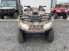 2007 Arctic Cat 650 4-Wheeler - 8