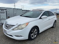 2010 Hyundai Sonata