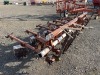 Lilliston 6-Row Rolling Cultivator - 2